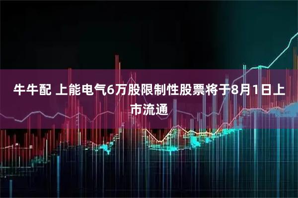 牛牛配 上能电气6万股限制性股票将于8月1日上市流通