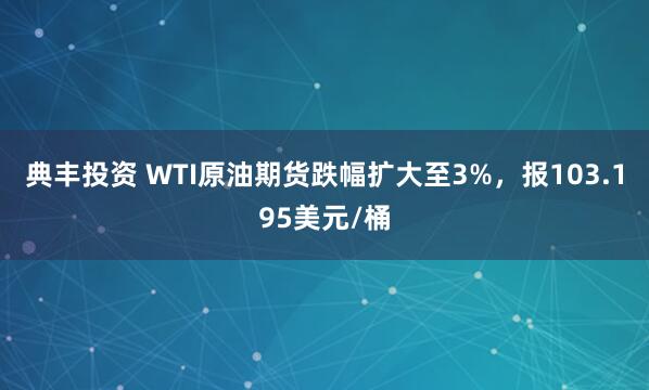 典丰投资 WTI原油期货跌幅扩大至3%，报103.195美元/桶