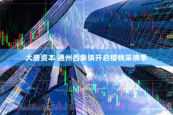 大唐资本 通州西集镇开启樱桃采摘季